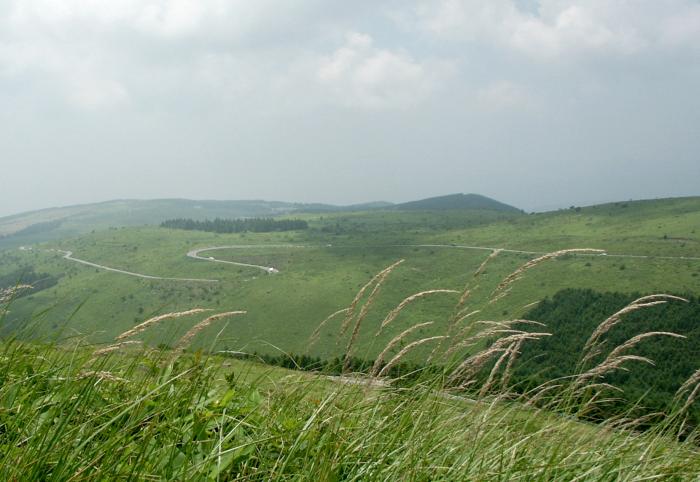 �u�₩�ȍ����̕��ɂȂт��A�X�X�L�Q�ł��B