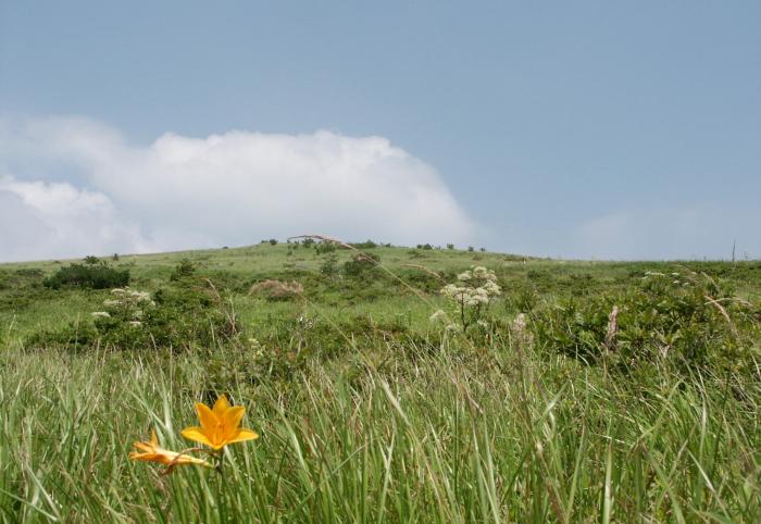 �����̂��₩�Ő��L���邨�Ԕ��𒭂߂Ă���ƁA���Ԃ̌o�̂��Y��銴���ł��ˁI