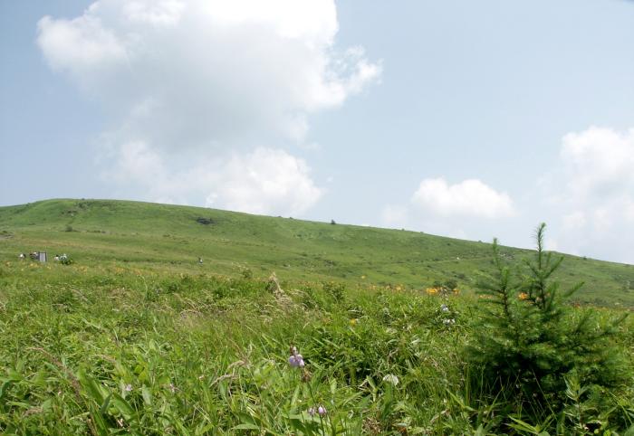 ����ł̂ЂƎ���A���ɂ̐�Ɨ΂̍����ɕʂ�������āI