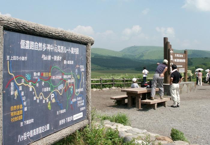 �ԎR������P�O���قǑ������Ƃ���̎����n�сA����͎ԎR�ł��B