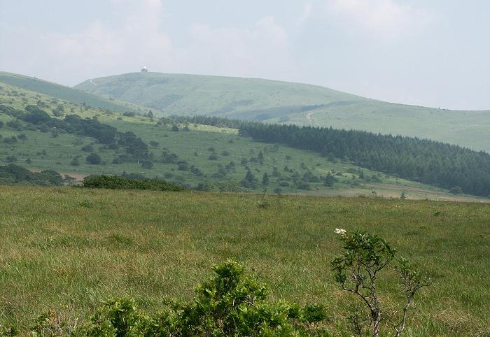 �M�B�H���~�J�����Ȃ��������̂������������C���̊����A��قǓo�R�̎ԎR����̋C�ۃ��[�_�[���ڑO�ɁE�E�E�E