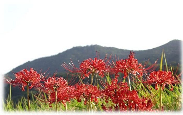 ����̎R�́A����ʎR�ł��B