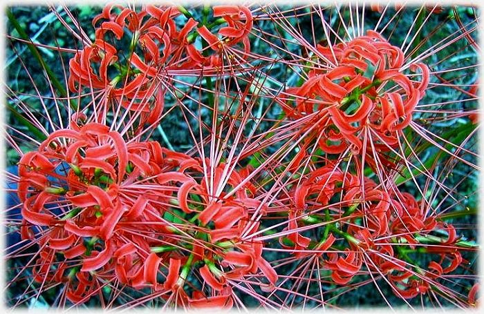 ���ォ��E�E�E