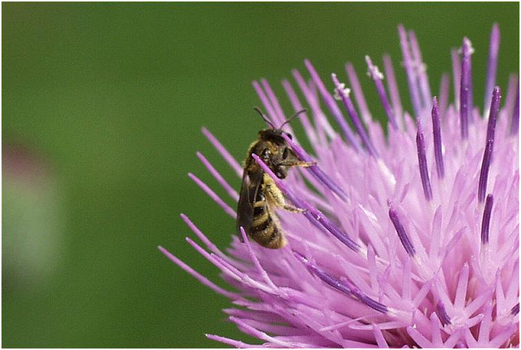 �y�������@�t���@���@�l���������@�ŁE�E�E�E�E