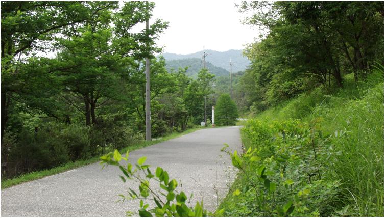 �U�����ł��I��Q�����̃E�I-�L���O���y���߂܂��B