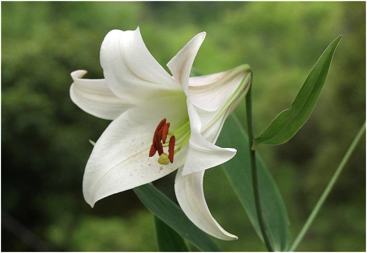 3�N�O�ɖK�ꂽ���ɂ͐���ɑ�R�Q�����Ă��܂������A���N�͑����R�[�����ɁE�E�E�E�E