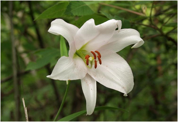 �����Ȃ̒��ԂŁA�h�肳�������̂��ǂ��ł��ˁI