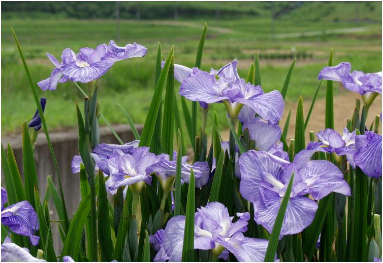 �J�Ԃ����R���ʂ������ŁA��͂������Ă��܂������ł��B