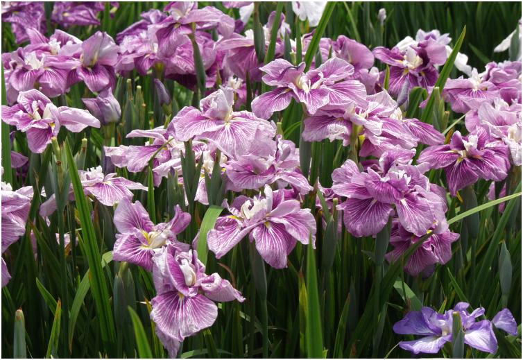 �F�X�ƕi��ɂ��āA�������������B�e�ɖ����ŁE�E�E�E