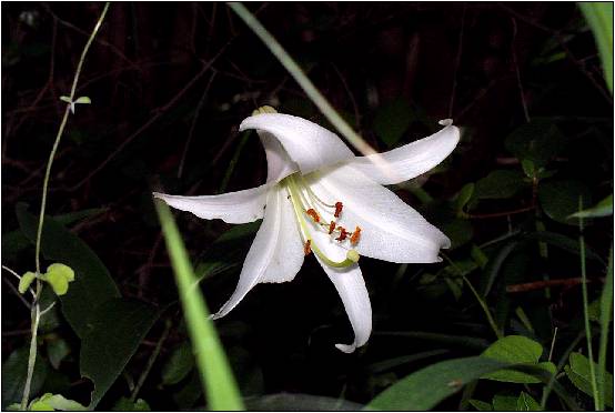 �X�W�D�T�D�R�P�B�e�A�J�����͂n�������������@�b�|�P�S�O�O�k�@�P�S�O����f�ł��B