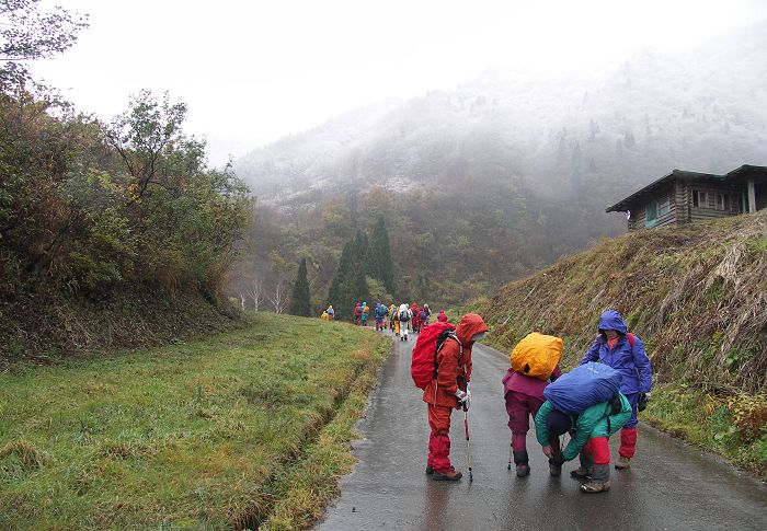 �ڑO�̓o�R������㕔�͐�ɕ����Ă���悤�ł��B