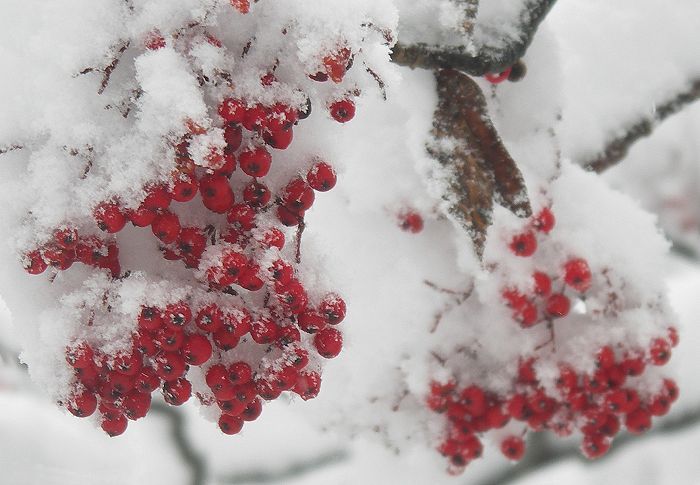 �Y�[���A�b�v�ŐԂ����ɁE�E�E