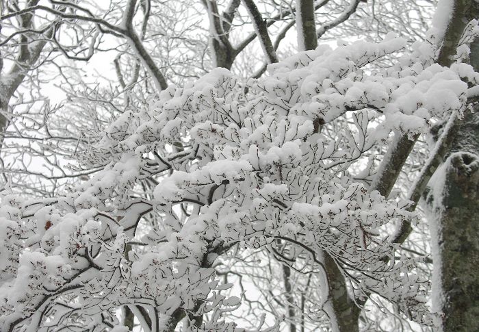 �����o�[�̊F���񗧂��~�܂�A�Y��I�Y��I