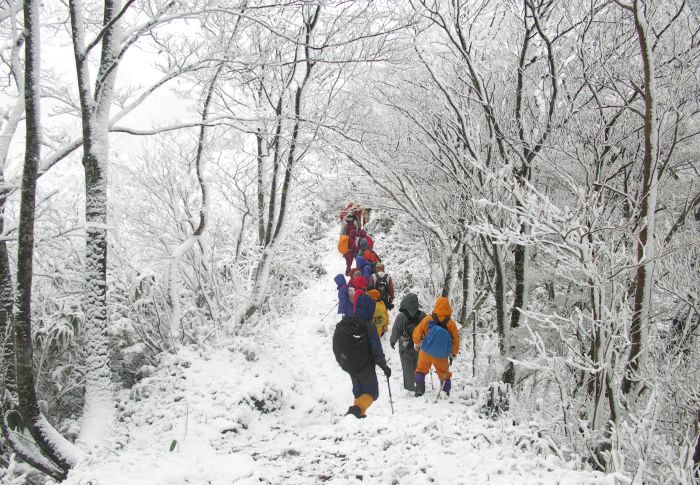 �o��ɘA��ď�������������Ȃ�A�ڑO�Ɏ��X�̌Q�ꂪ����Ă��܂����B