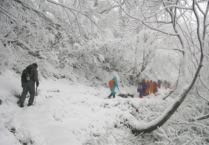 �ӏH�̓o�R�A�O���Ƀ��[�_�[����A�C�[����Y�ꂸ�ɂƂ̘A���������Ă����̂��{�Ԃ��̂ɂȂ�܂����B