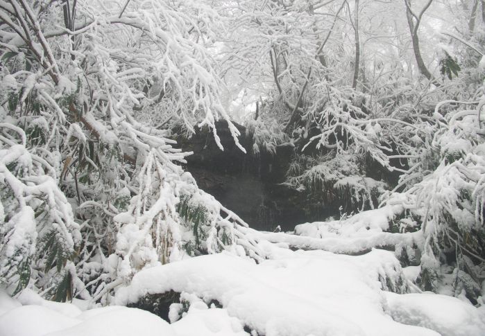 �傫�Ȍ��ڂ����A���X�̉��ςŌ����ł��I