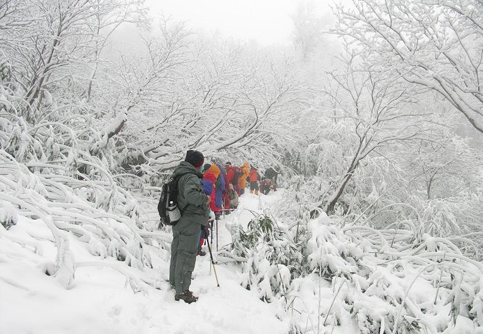 �啪����[���Ȃ��ė��܂����B�X�g�b�N��˂������Ɩ�P�Ocm�ʂł����B