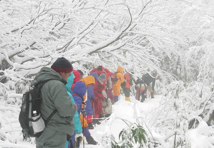 �ᒆ���s�͔��܂��B�`���b�g�����x�e�I