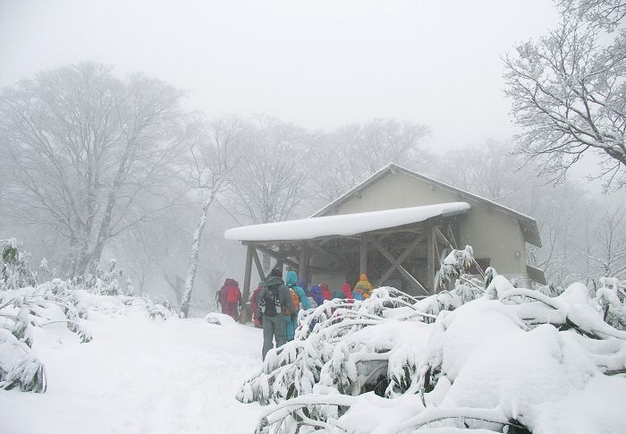 �o�R�J�n�����Q���ԂŁA�_��q���b�e�ɓ������܂����B�����ŊF����A�C�[���̒��p�ł��B