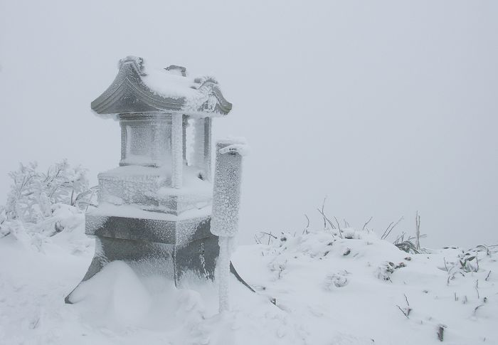 �����ܒ������΂Ɍ����Ă����A�{��̋{�_�{�Ղ̐��K