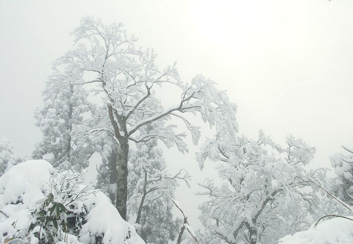 ����ł̂ЂƎ���A����e�������o�R����ڎw���ĉ��R�̊J�n�ł��B