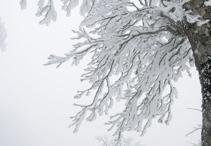 �o�R���ł͖�T0cm�ʂ̐ϐ�ł����B�ڑO�ɍL������X�Q�����y���݉������B