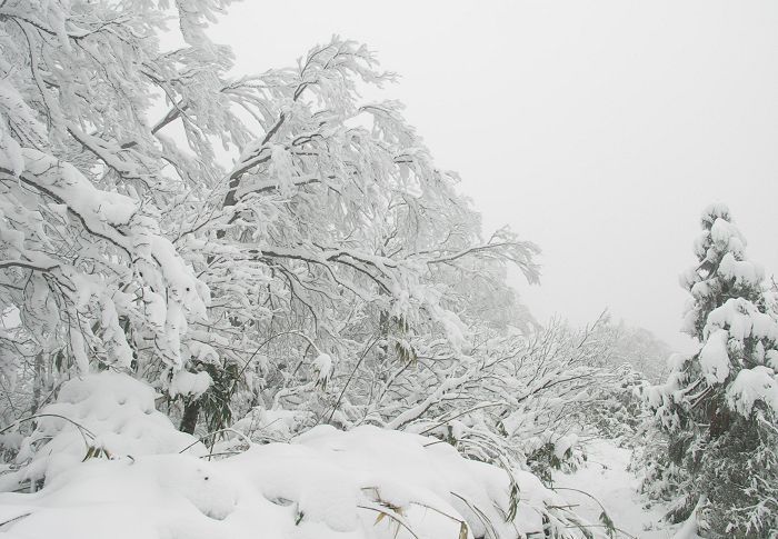 (^_^)v�@(*^^*)�@�_(^O^)�^