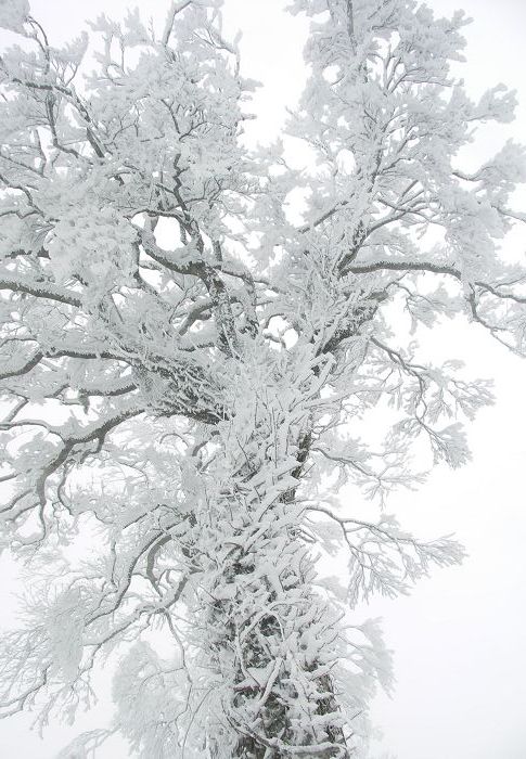 �~�Ⴊ�Ȃ������瑽���A���߂鎖���Ȃ������ł��傤�ˁI