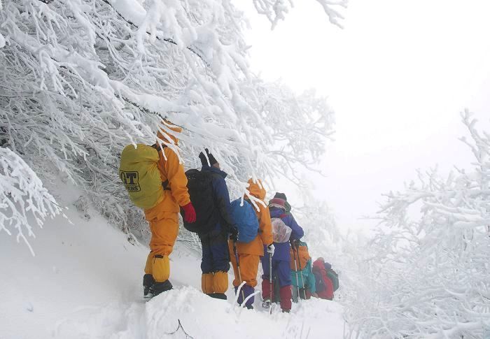 ���X�Q�Ɍ��Ƃ�ďa�ؒ��ł��I(��)