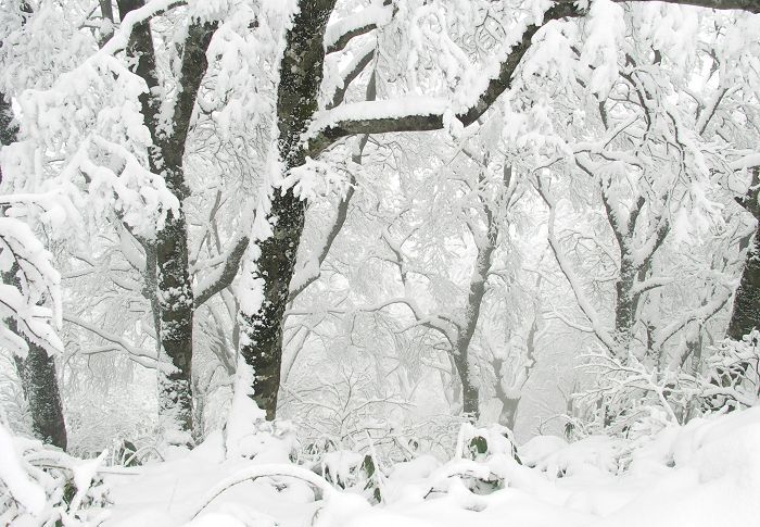 ���X�Q�����y���݂��������B(^_^)v