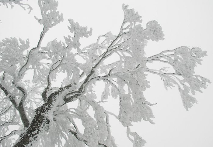 (^_^)v�@(*^^*)�@�_(^O^)�^