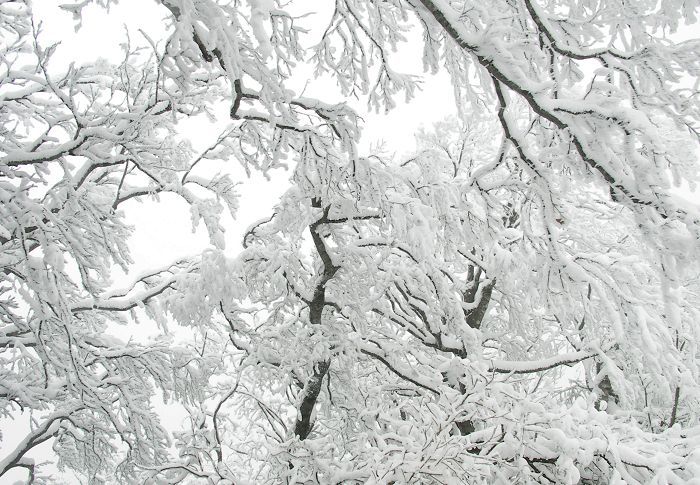 (^_^)v�@(*^^*)�@�_(^O^)�^