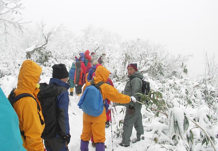 ����̐��E�ɁA�J��̐F���f���Ă��܂����B