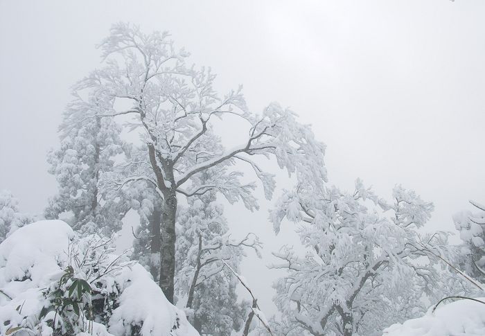 (^_^)v�@(*^^*)�@�_(^O^)�^