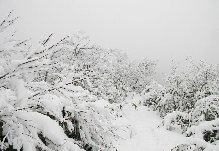 (^_^)v�@(*^^*)�@�_(^O^)�^