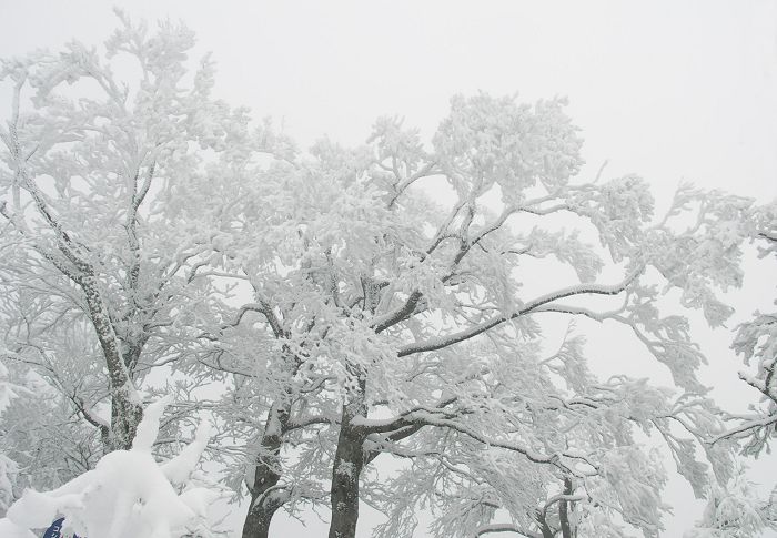 (^_^)v�@(*^^*)�@�_(^O^)�^