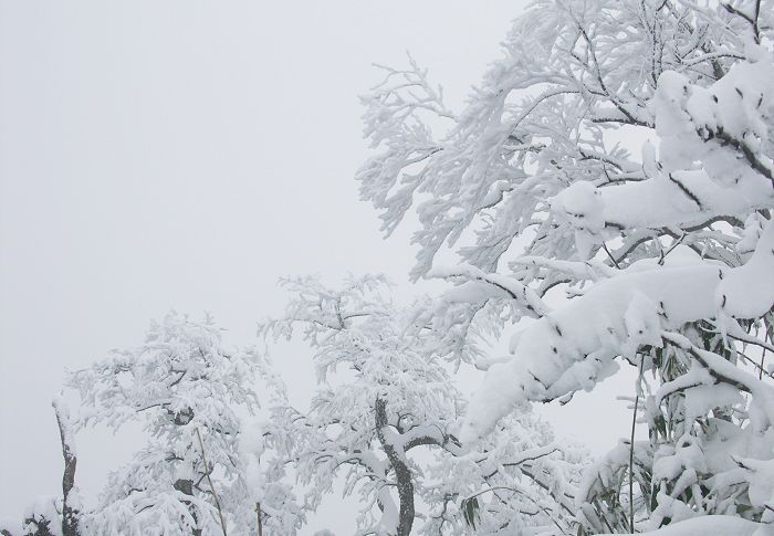 (^_^)v�@(*^^*)�@�_(^O^)�^