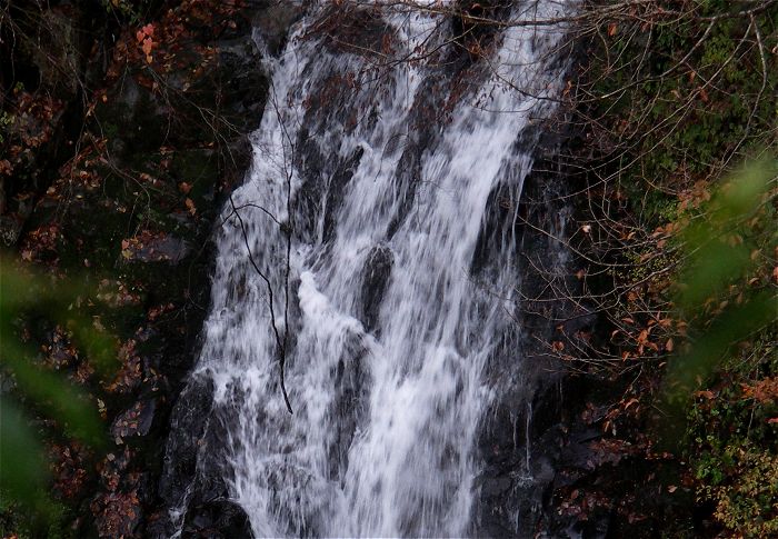 ��̉����ɃY�[���A�b�v�I