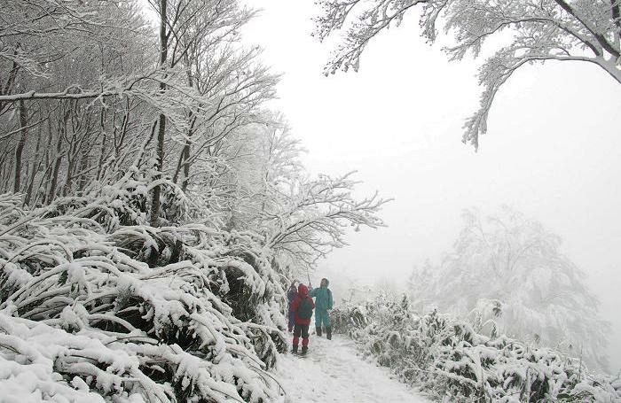 ����̓o�R������