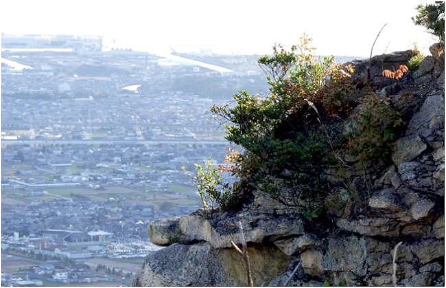 �����ɂ̖؁X���F�t���Ă��܂�