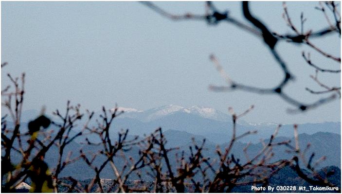 �R���k���͗��؂Ō��ʂ��������A��T���̃N�k�M�̖؂ɓo���ĎB�e���܂����I