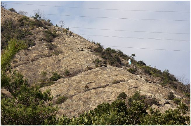 �V�C�̗ǂ����͒W�H���A���ΊC�������W�]�o���܂���I 