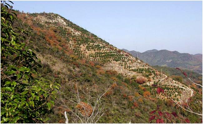 �q�����獂�N�҂܂œo�R�\�ł�