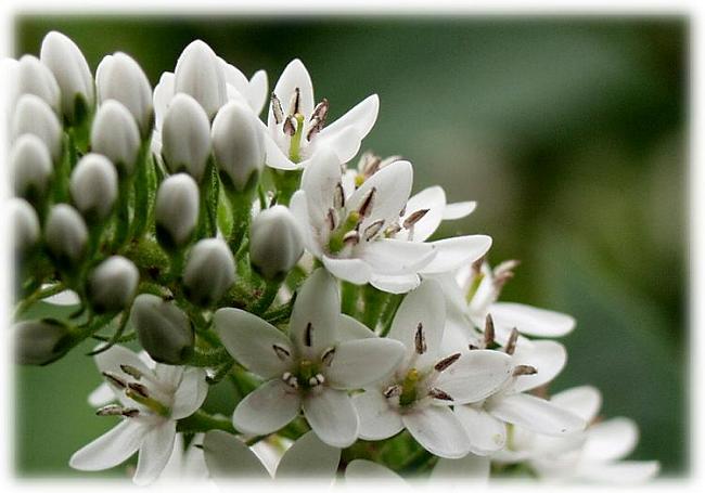 ���N�A���̋G�߂ɎB�e�ɍs���܂����A���b�g�����ɔ[���̎B�e���o���܂����I