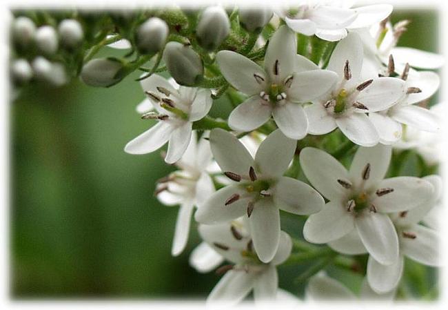 �����́A���ƌ����Ԗ���������܂���ł�����������ۂɎc��܂���