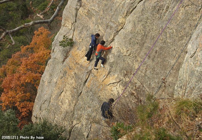 �����̒j�����w������Ă���悤�ł��B