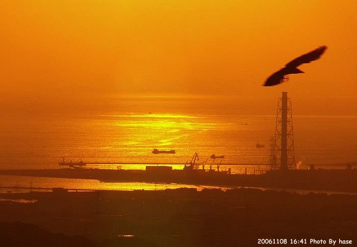 ������쐼���ʂ̗[���