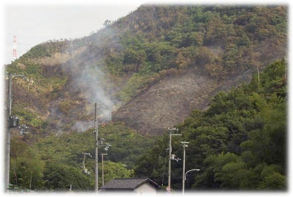 �K�ꂽ�����͂قڏ��΂���Ă��܂������E�E�E