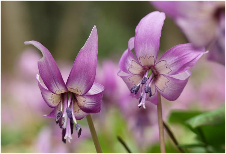 �E�E�E�E�E