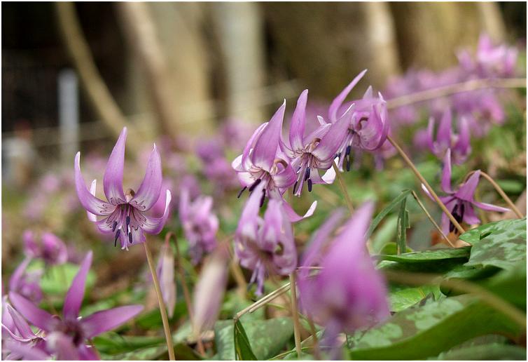 �J�����������U��ƁE�E�E�E